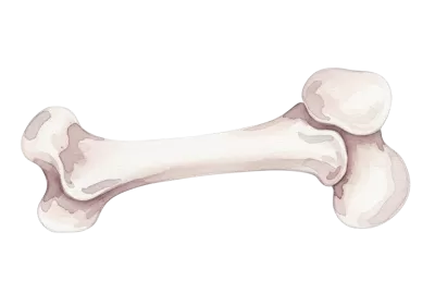 Imagen PNG para descargar